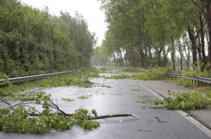 Injury Lawyer for Accidents Caused By High Winds in Los Angeles, CA | Simmrin Law Group Injury Lawyer for Accidents Caused By High Winds in Los Angeles, CA