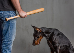 Penal Code 597 PC: Animal Abuse | What to Know Animal Abuse