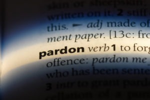 dictionary definition pardon