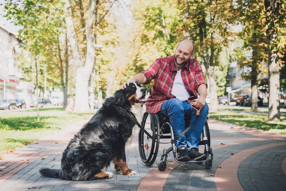 Truck Accident Lawyer in Mission Viejo | Free Consultations 24/7