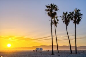 Legal Dos and Don’ts for Visiting Venice Beach