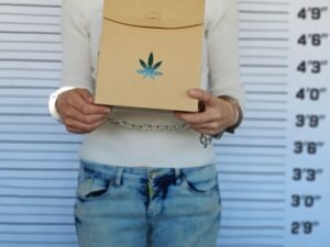12 Questions to Ask Your Marijuana Lawyer