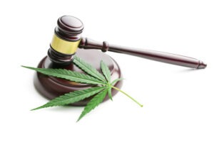 Do You Need a Los Angeles Marijuana Distribution Lawyer