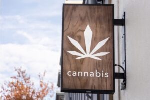 How to Find the Best Marijuana Lawyer