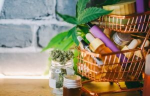 What Is the Difference Between CBD and CBN?