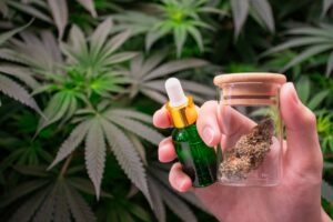 What Is a CBD Tincture?