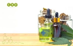 What Is the Difference Between CBD and THC?